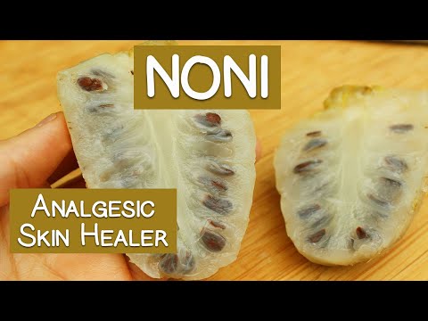 Noni Fruit, Potential Skin Healer, Immune Booster and Analgesic