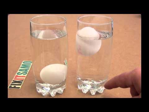Are You Eating Fresh Eggs ? Kitchen Hack