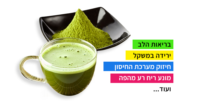תה מאצ'ה מחסל תאי סרטן, איך זה קורה? 🍵