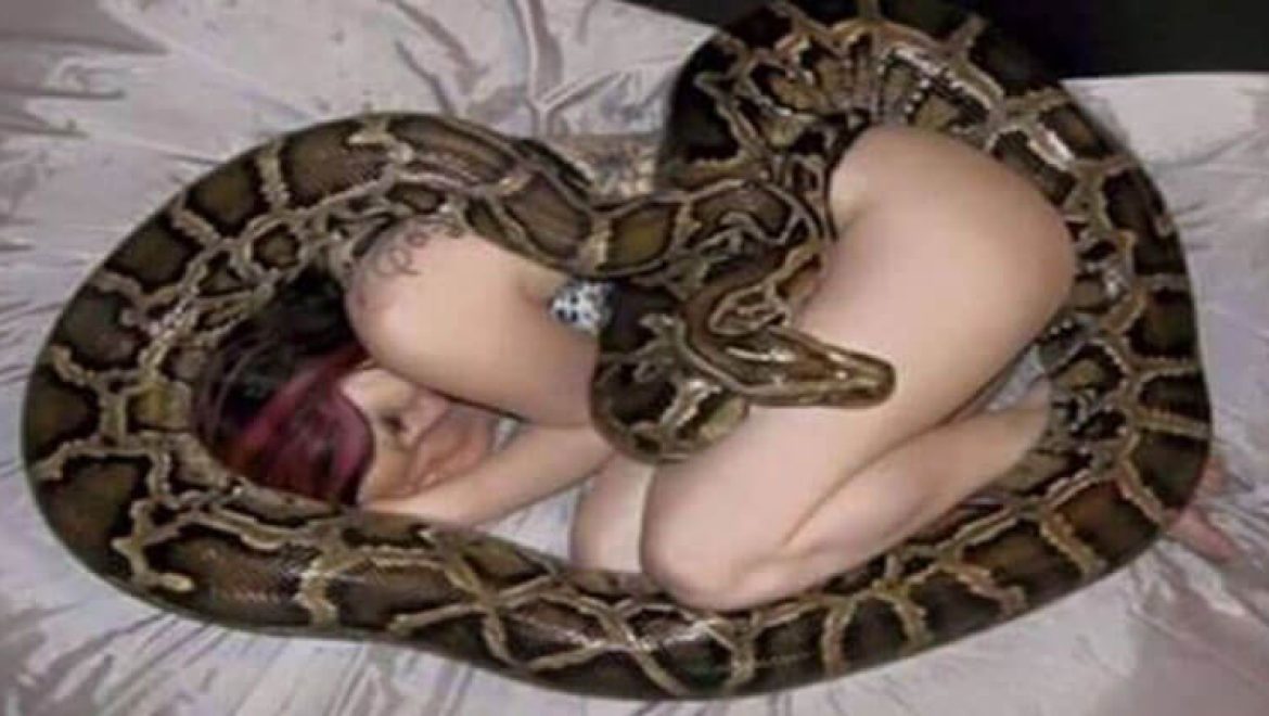האישה הזו ישנה עם הנחש שלה בכל לילה, עד שהוטרינר אמר לה את האמת המזעזעת!