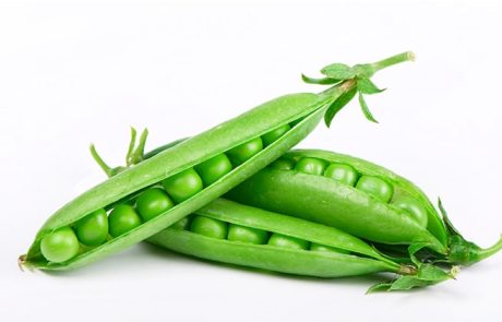 אפונה ירוקה - יתרונות בריאותיים