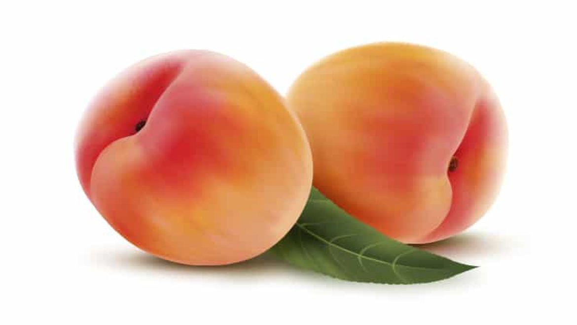 אפרסק, כל מה שלא ידעתם, לא רק פרי טעים אלא גם שופע בבריאות