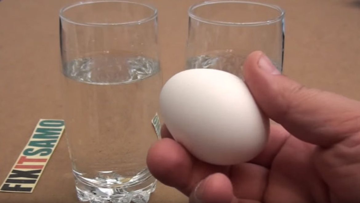 דרך גאונית לדעת אם הביצים טריות וטובות למאכל