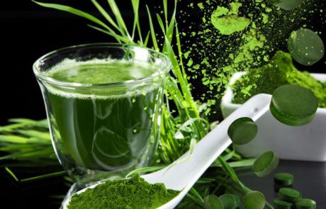 ספירולינה - 10 עובדות שהופכות אותה למאכל על